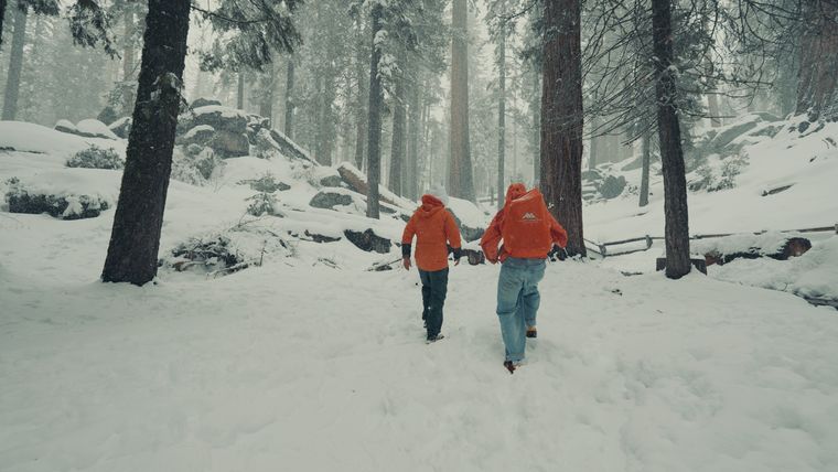 Sequoia, California